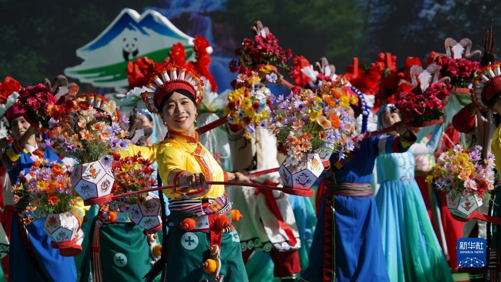 巴黎人客户端
